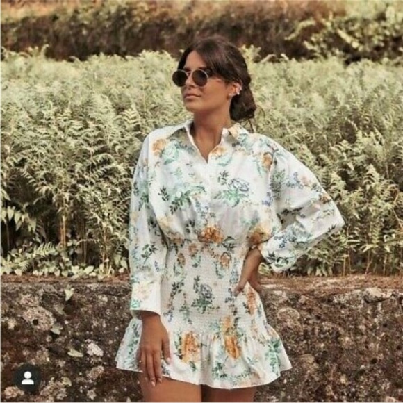 NWT Zara Bloggers Favorite The Patricia Floral Dress - Picture 3 of 15